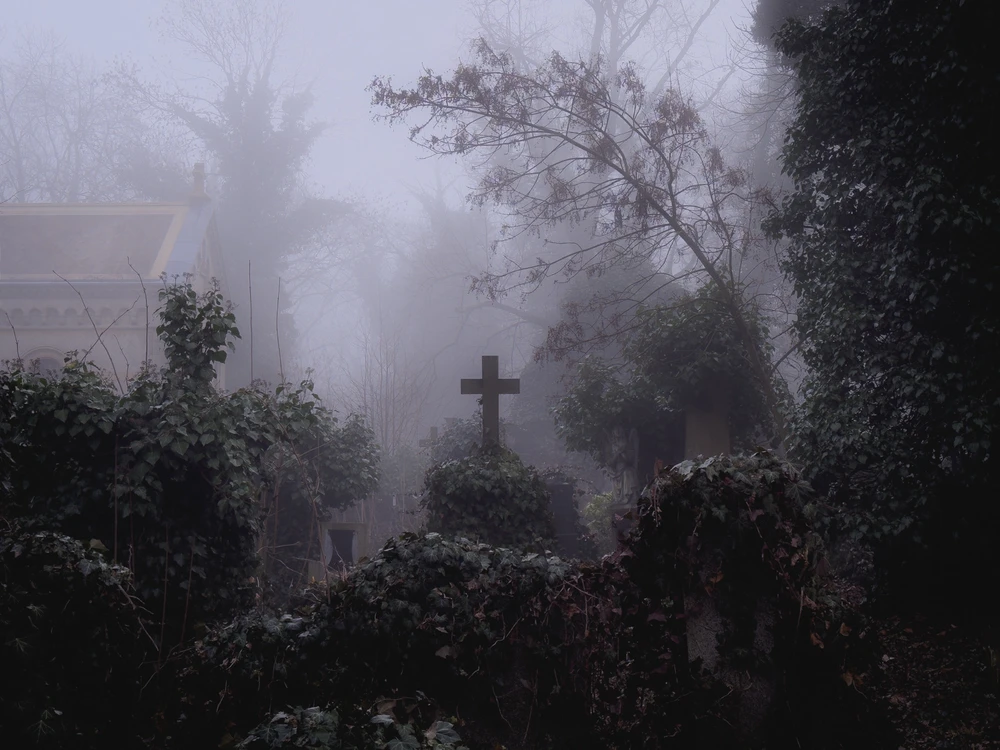 Obrázek nahrál Filip