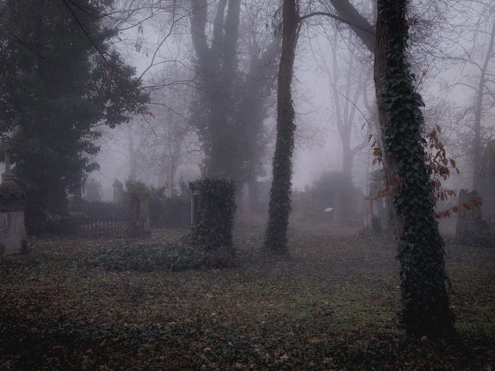 Obrázek nahrál Filip