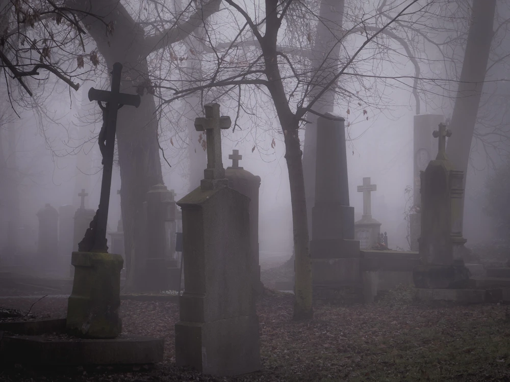 Obrázek nahrál Filip