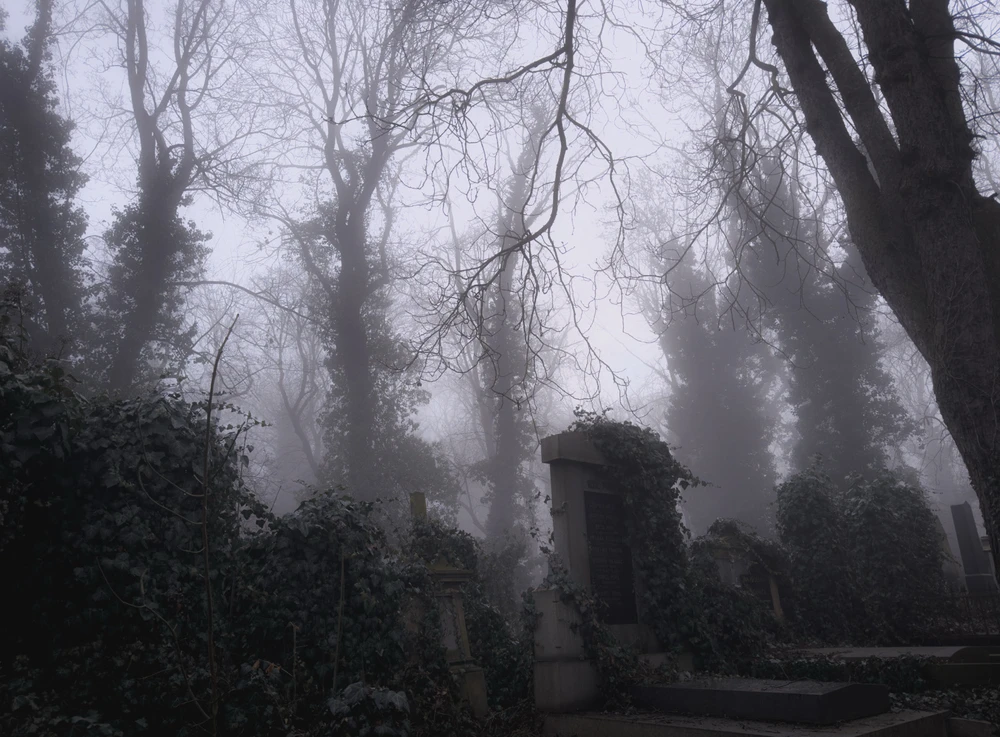 Obrázek nahrál Filip