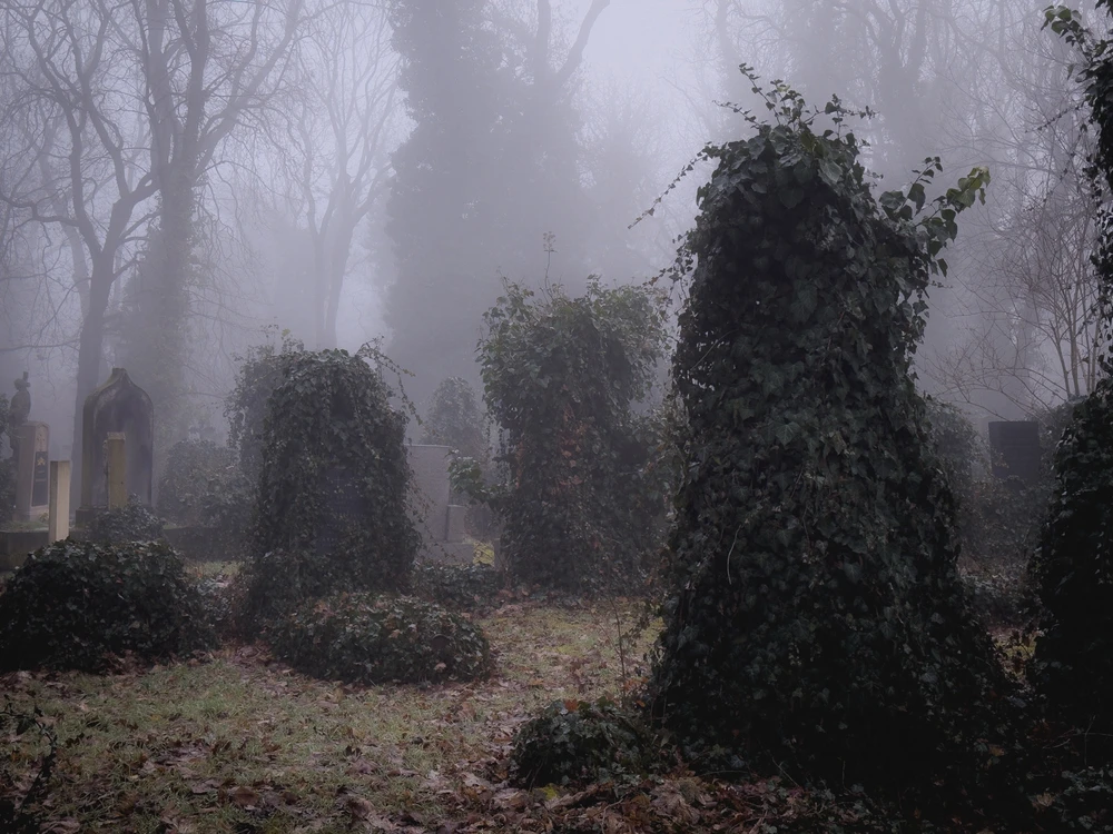 Obrázek nahrál Filip