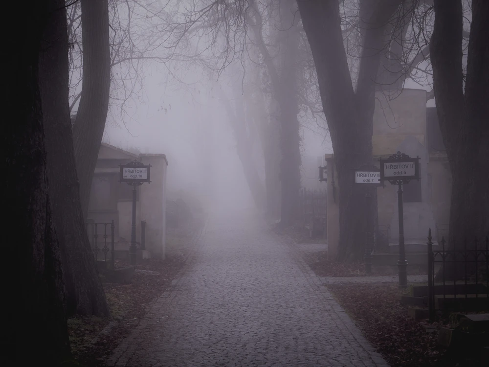 Obrázek nahrál Filip