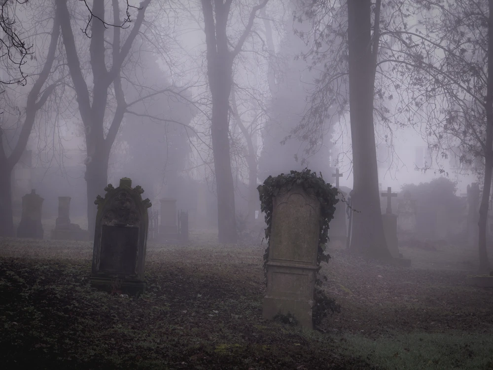 Obrázek nahrál Filip