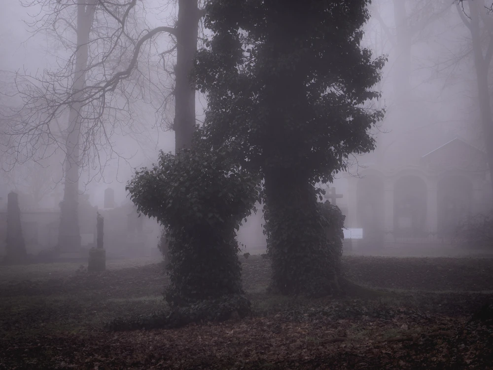 Obrázek nahrál Filip