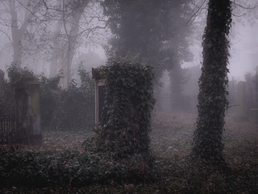 Obrázek nahrál Filip