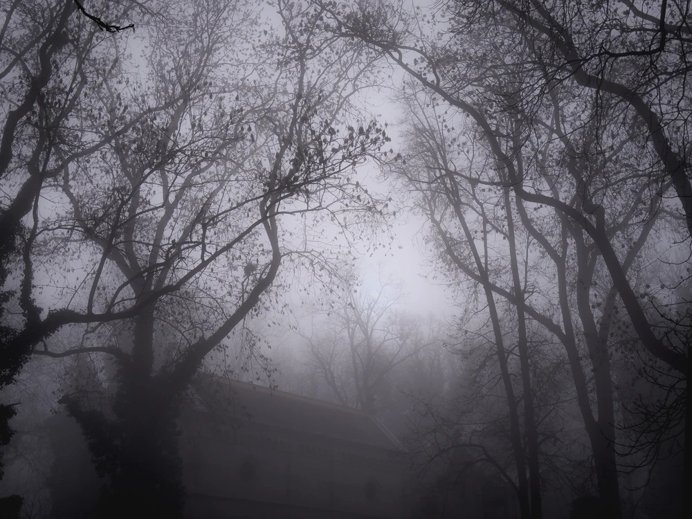 Obrázek nahrál Filip