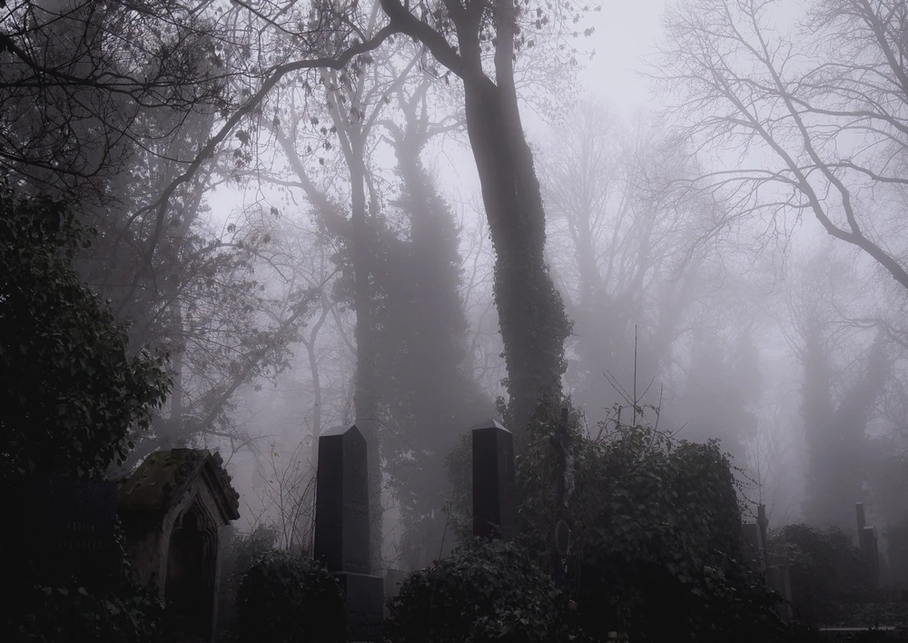 Obrázek nahrál Filip