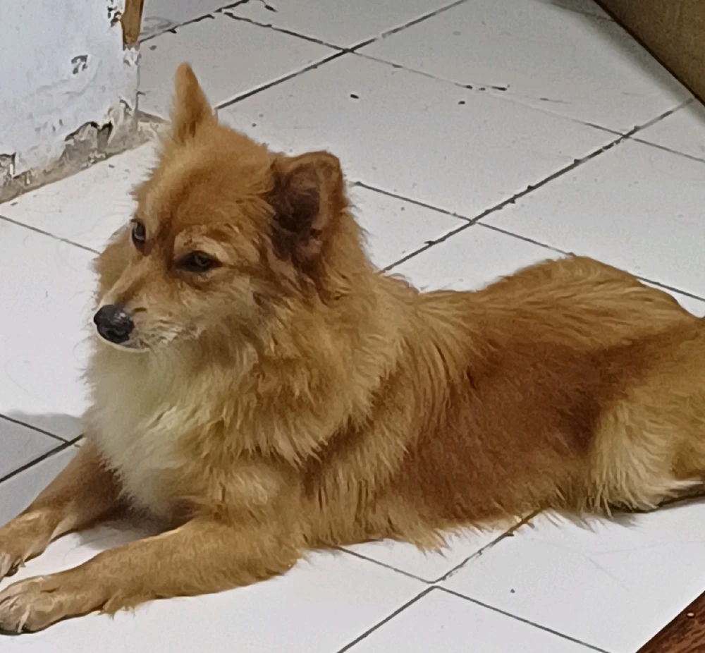 GIF uploaded by BRIGITTA