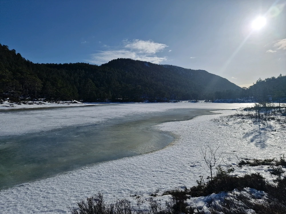 GIF diunggah dening Trond