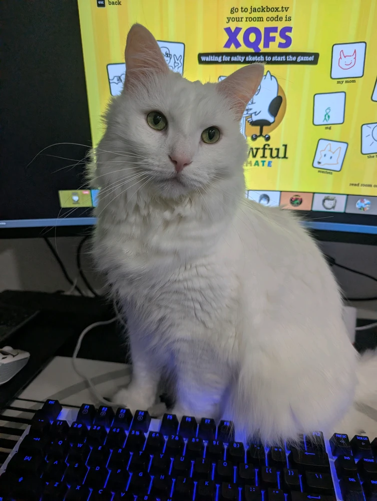 GIF uploaded by Vince