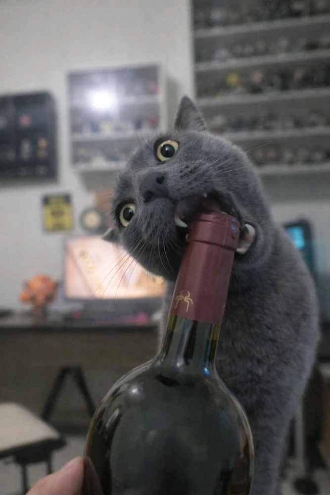 GIF enviado por Gean