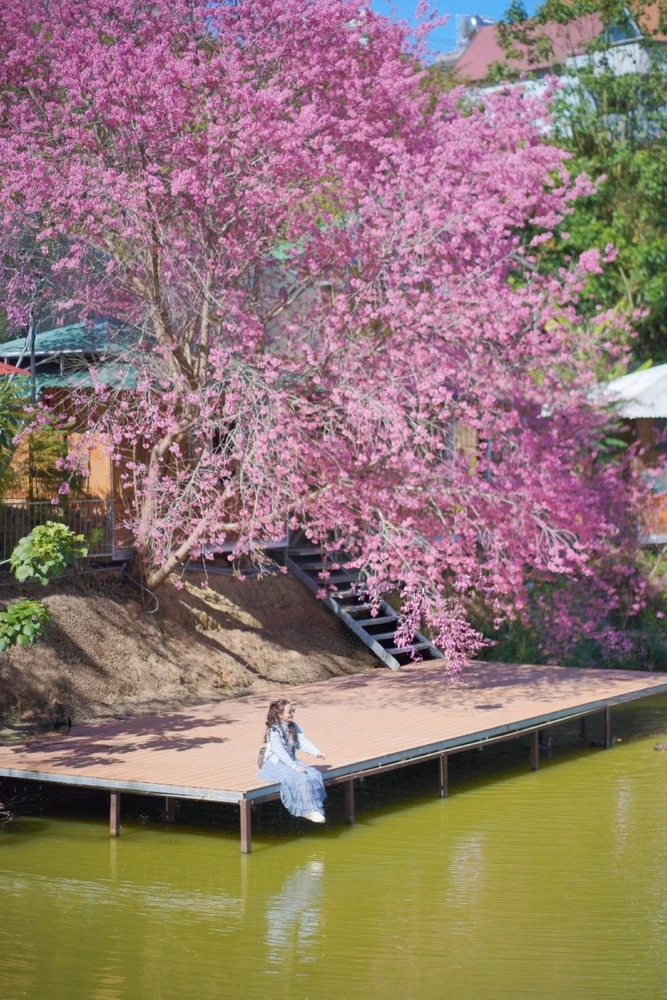 GIF được Diệu Ấn tải lên