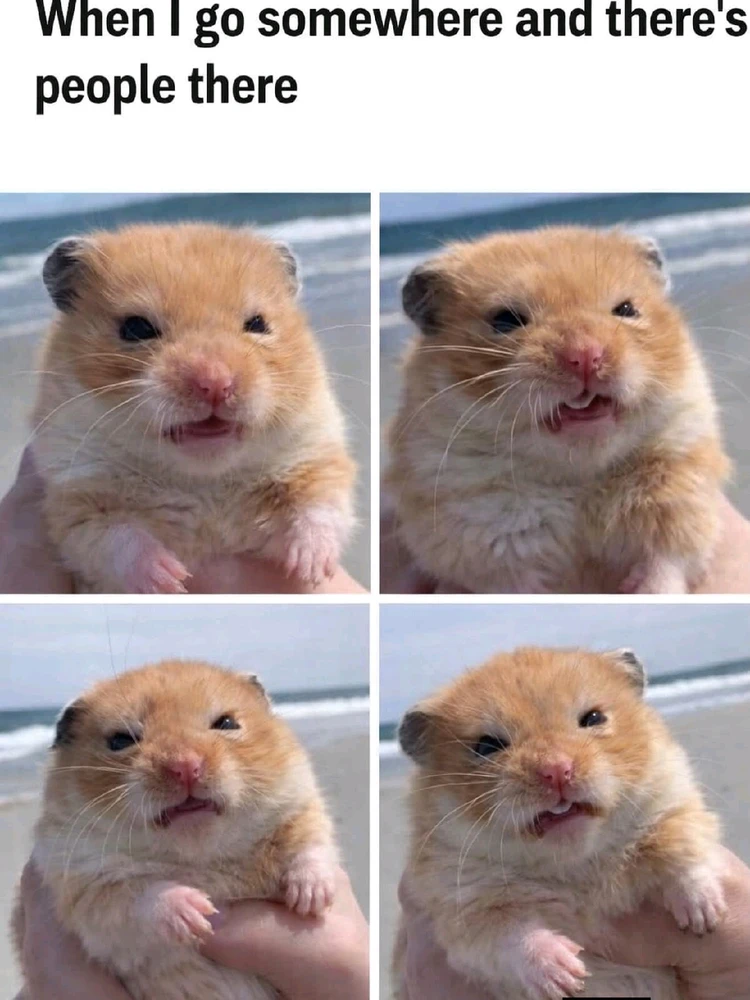 GIF caricata da Sara