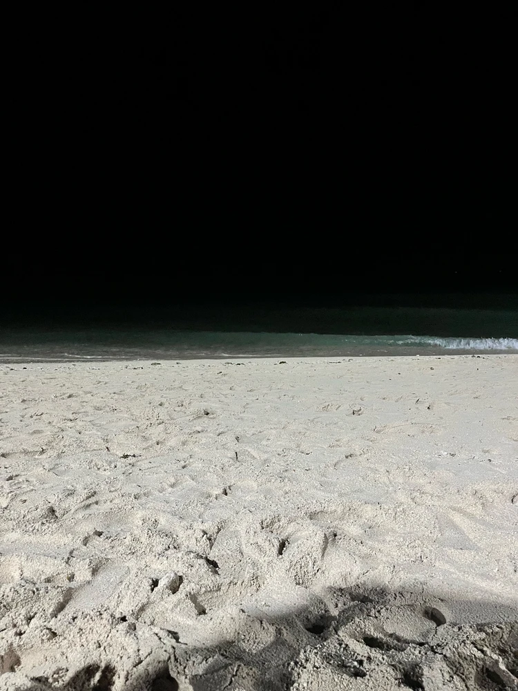 Image uploaded by Janine Gulmatico