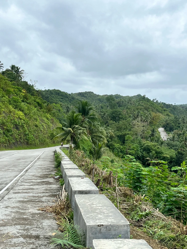 Image uploaded by Janine Gulmatico