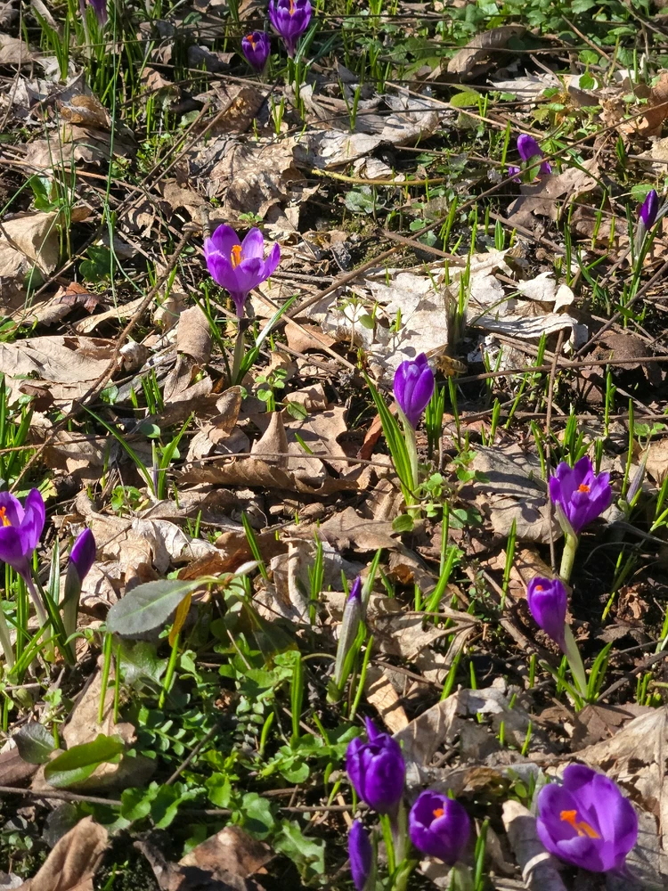 GIF diunggah dening Patrik