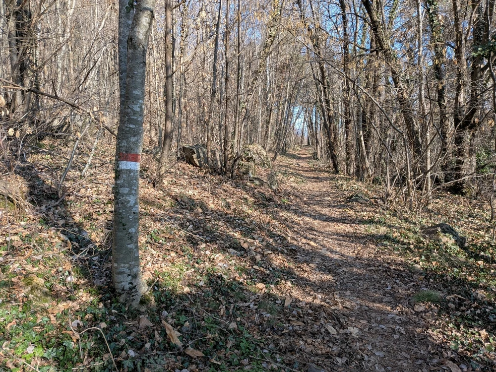 Immagine caricata da Diego