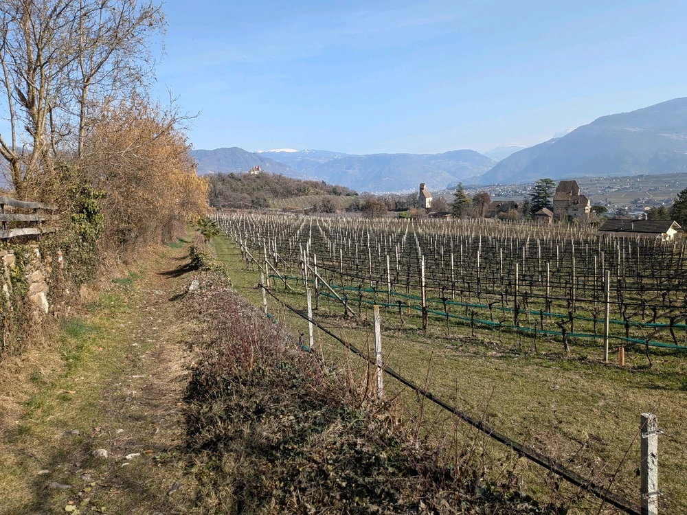 Immagine caricata da Diego