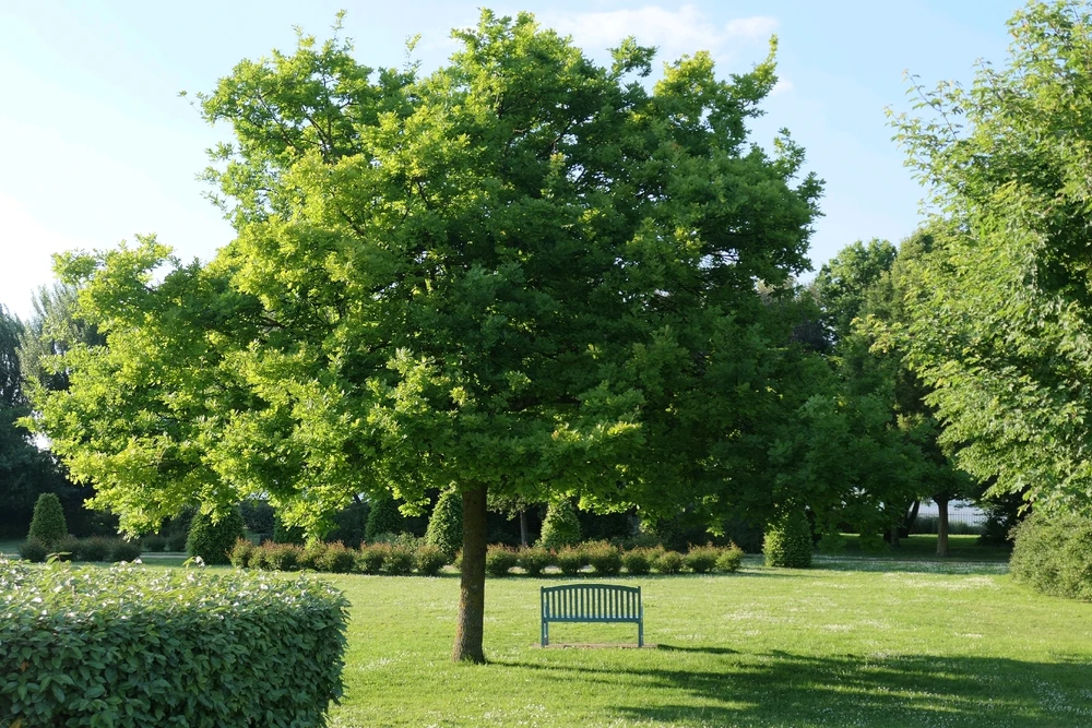 GIF uploaded by Zaza