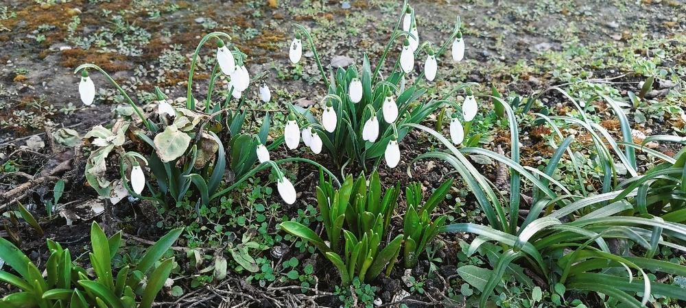 GIF uploaded by Maggie