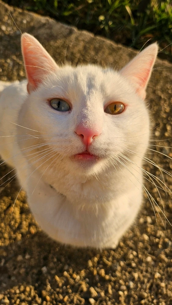 GIF uploaded by Lorena