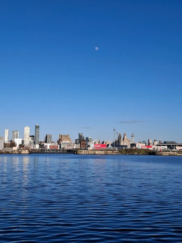 GIF uploaded by Matt