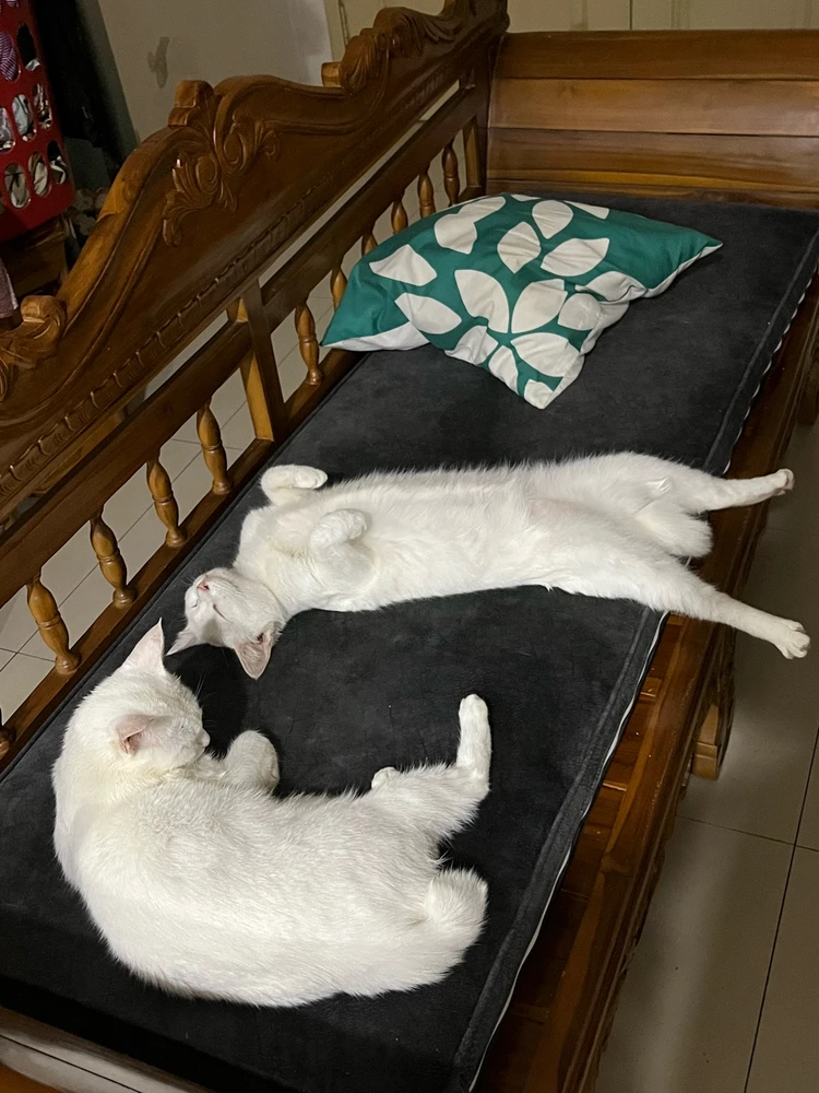 GIF uploaded by Syazwan