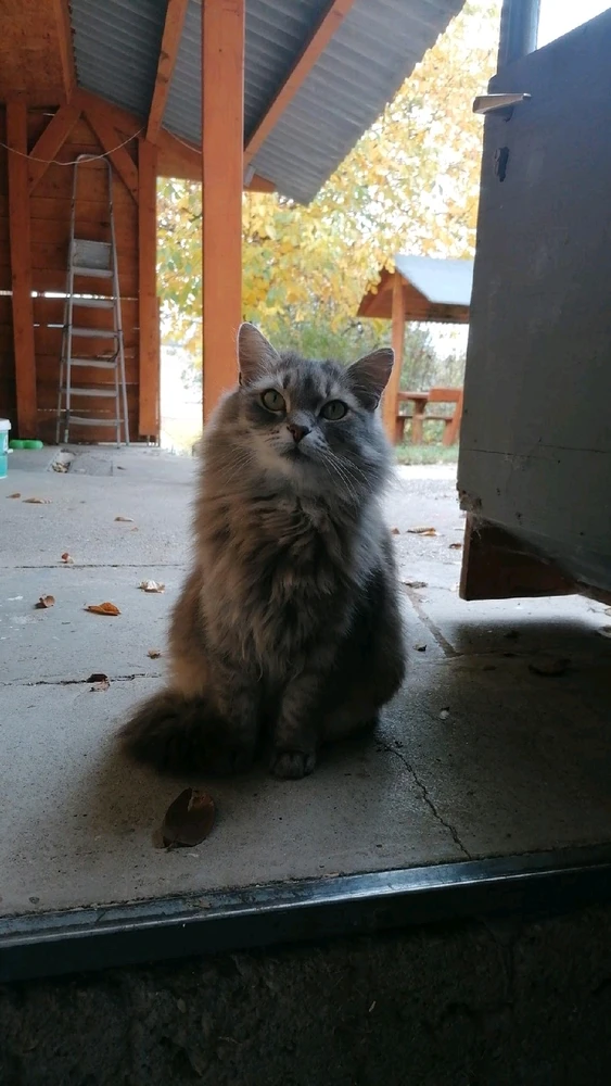 GIF uploaded by Szabolcs