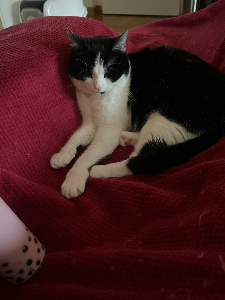 GIF ajouté par Monica