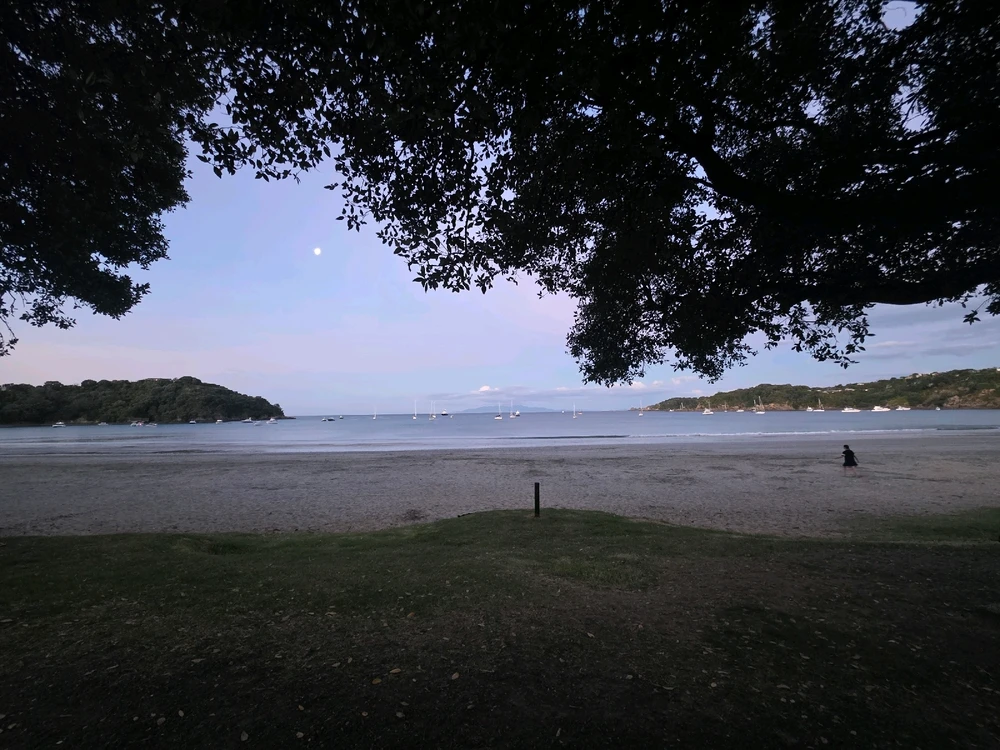 Image uploaded by Dyl