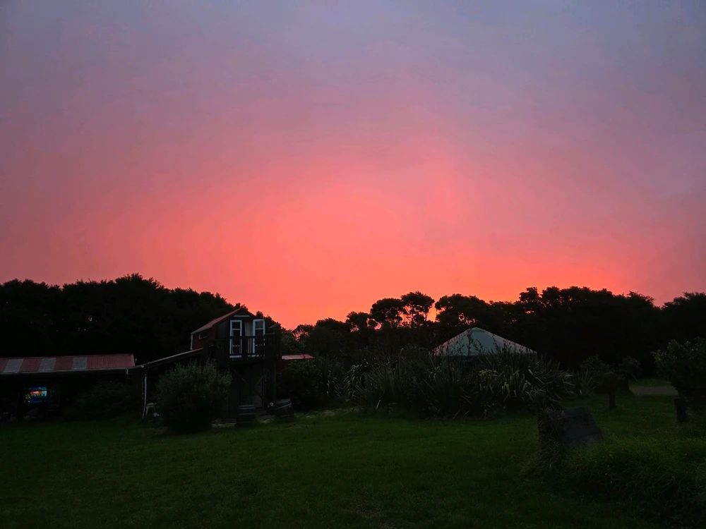 Image uploaded by Dyl