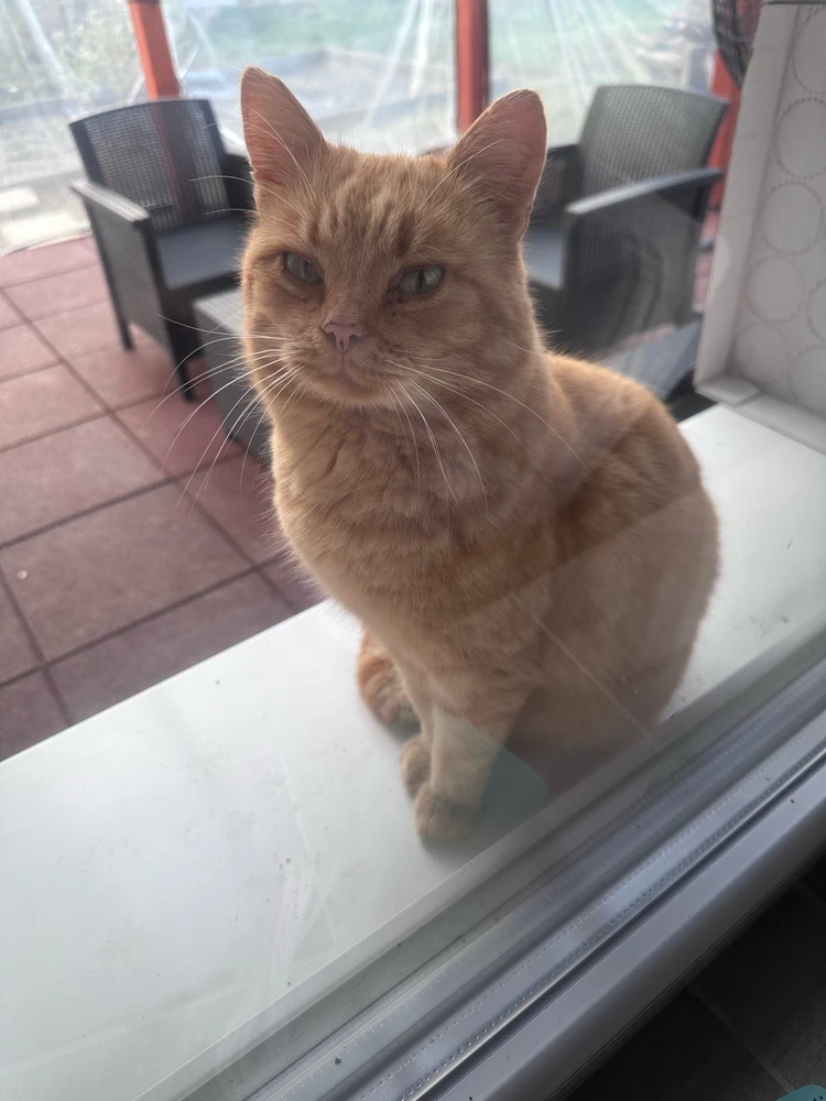 GIF uploaded by Tamás