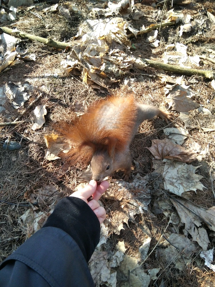 Zdjęcie dodane przez Ania