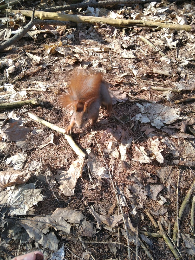 Zdjęcie dodane przez Ania