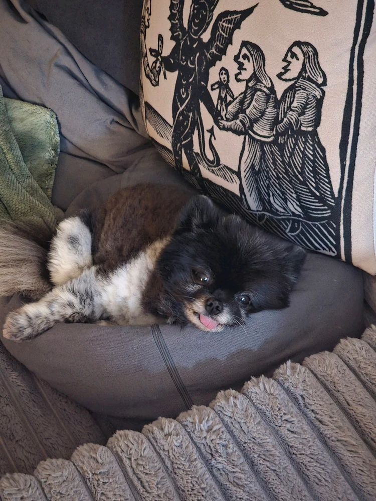 GIF uploaded by Jeff