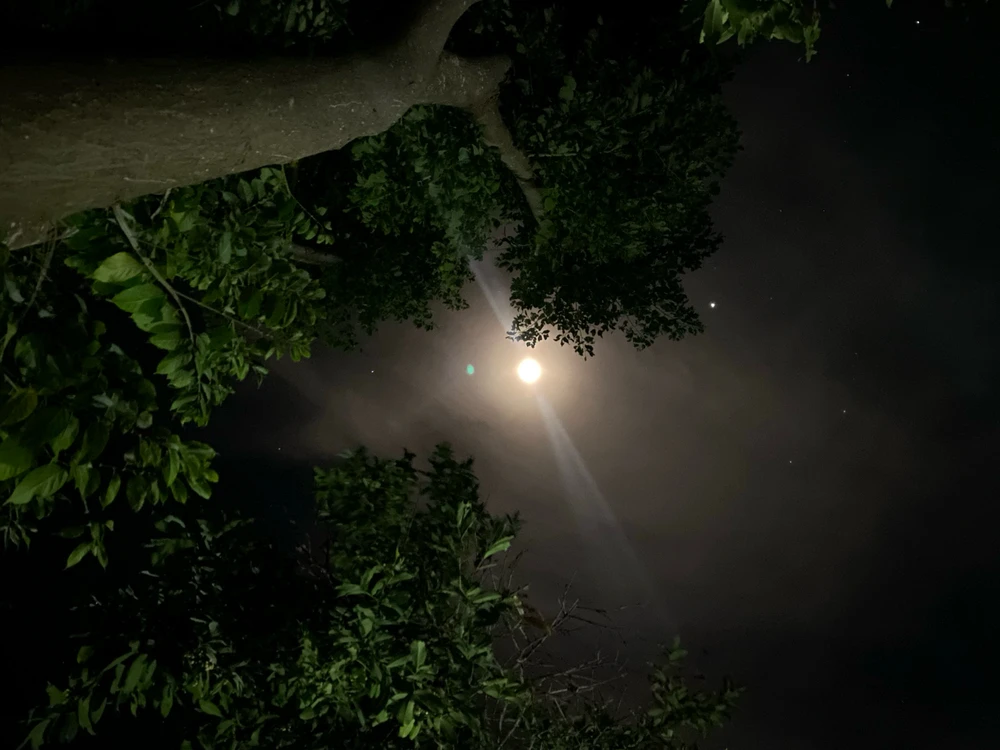 GIF uploaded by Kikay