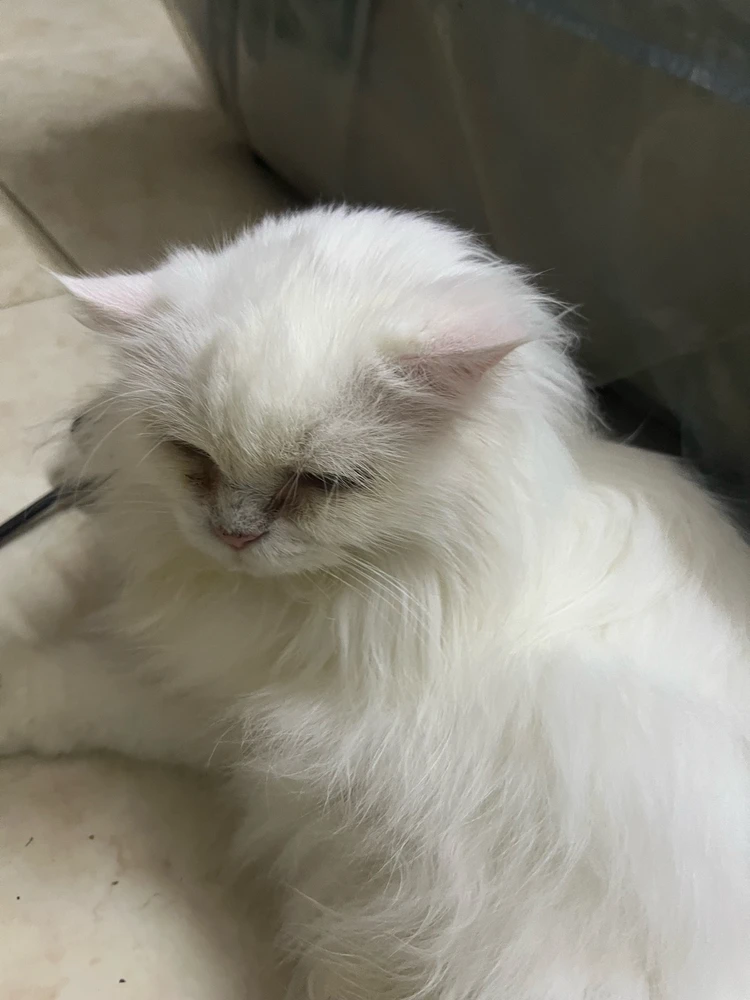 Image uploaded by Gabriel