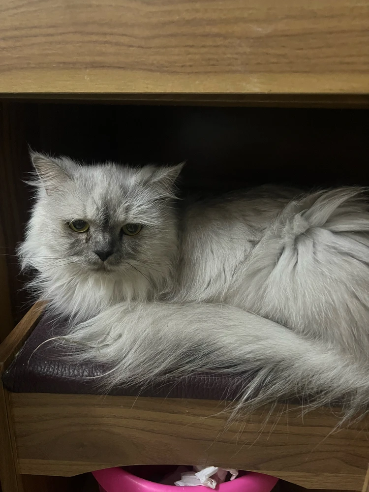 Image uploaded by Gabriel