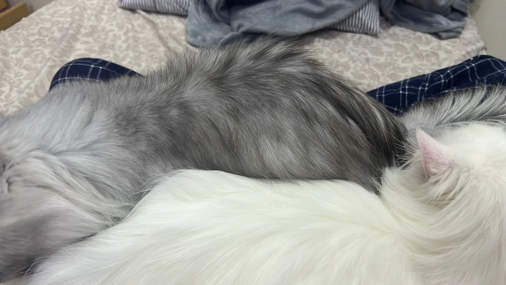 Image uploaded by Gabriel