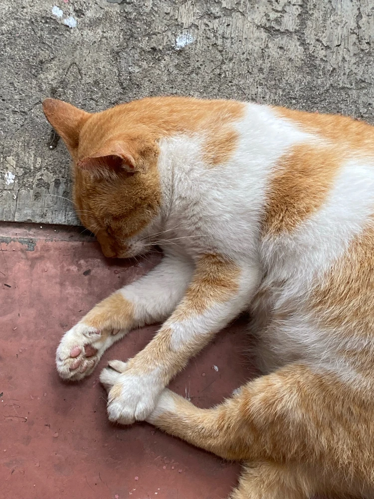 GIF uploaded by Pierre