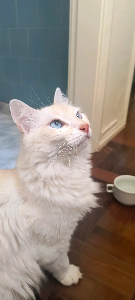 GIF enviado por Raquel