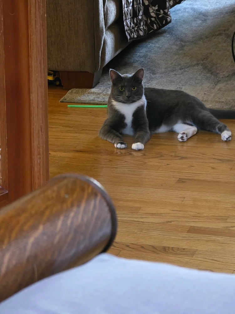 GIF uploaded by Jon (SKJ)