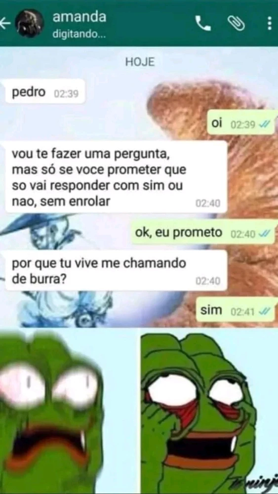 Imagem enviada por Adão Palmeira Teixeira