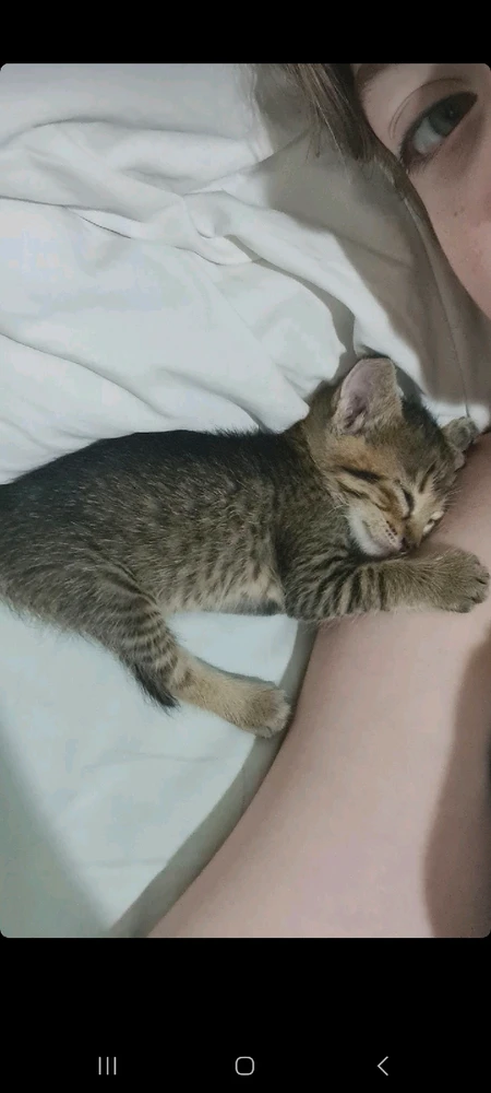 Imagem enviada por Malu