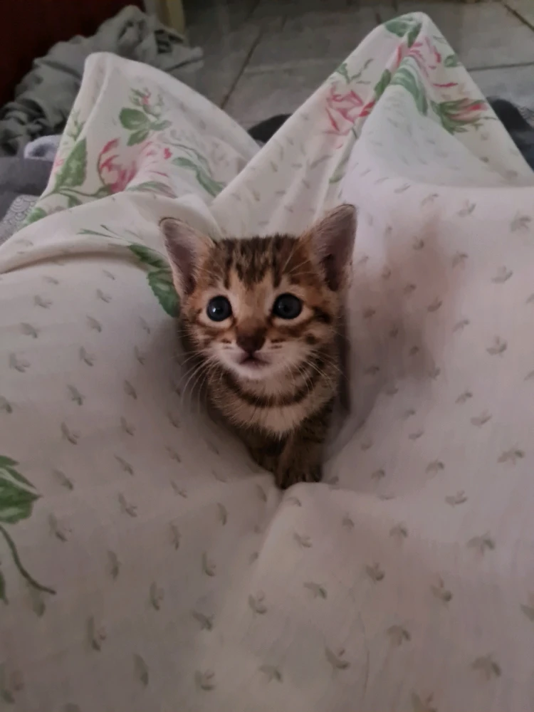 Imagem enviada por Malu