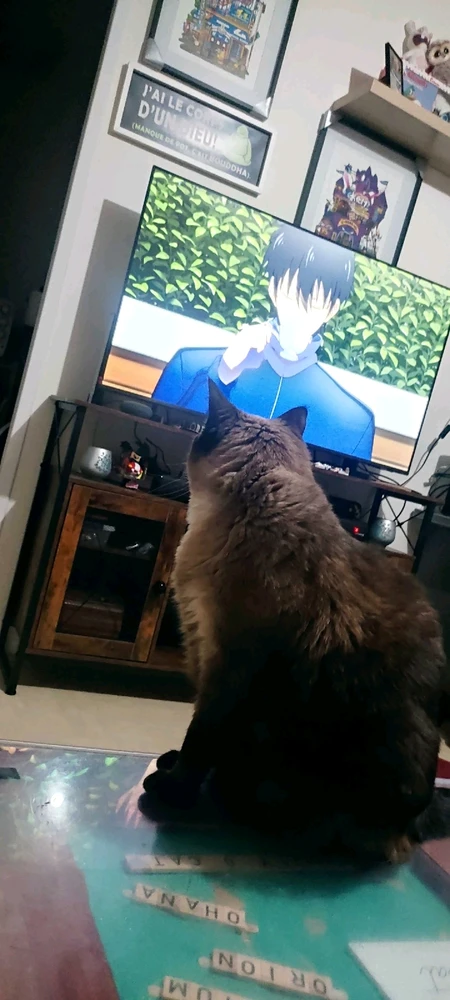 GIF ajouté par Clément