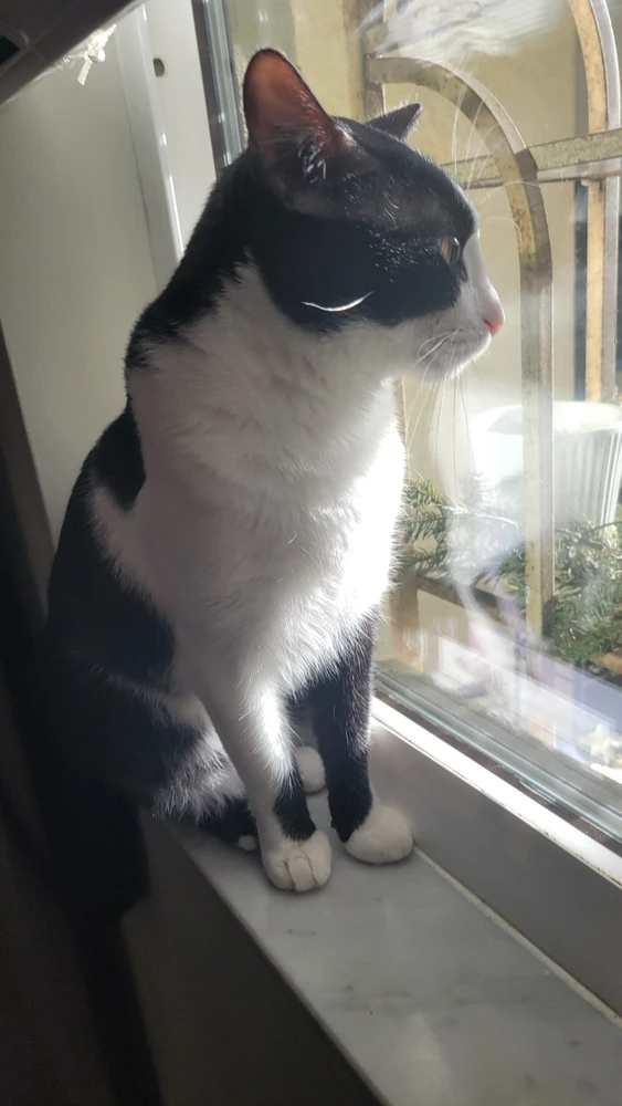 Image uploaded by Tobey