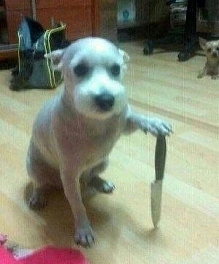 Imagen subida por Mailen