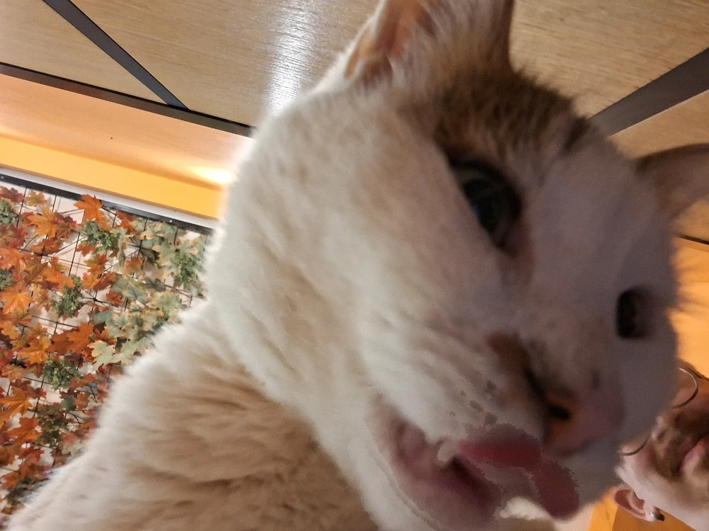 Image uploaded by alp