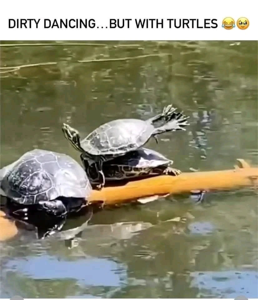 GIF uploaded by Georgina